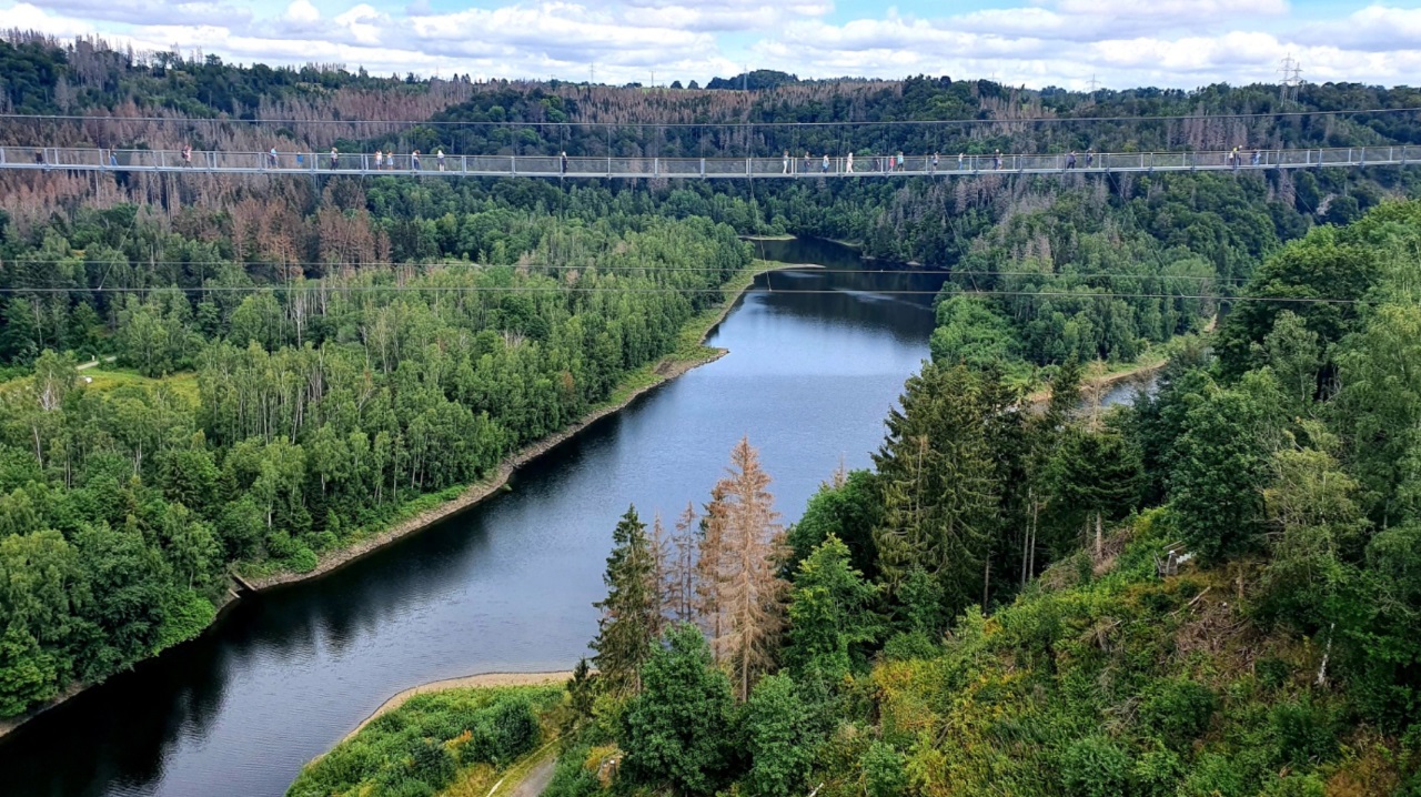 wakacje-2020-most-wiszacy-w-gorach-harzu-80.jpg